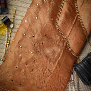 Sienna Spark | Mukaish Embellished Pure Tussar Silk Saree